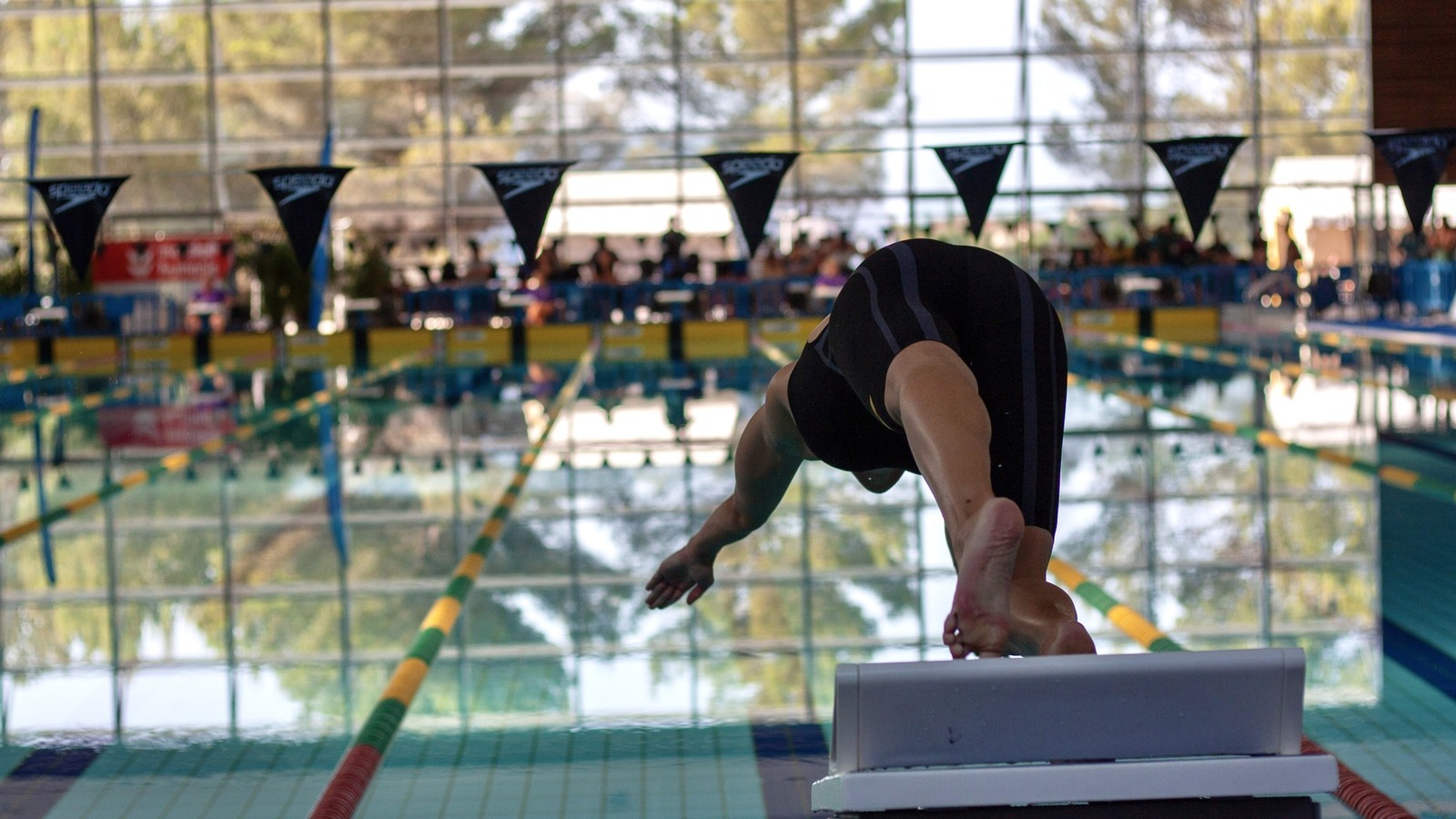 CHAMPIONNAT DE FRANCE PARA NATATION  ADAPTE DU 19 au 22 JUIN 2025